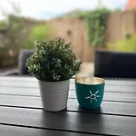 Kleine Sonne